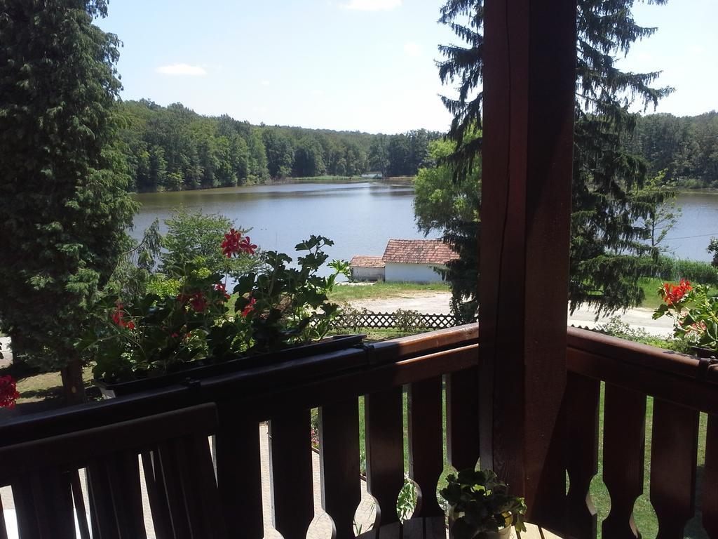 Agneslaki Okoturisztikai Centrum Es Vadaszhaz Nagykanizsa Room photo